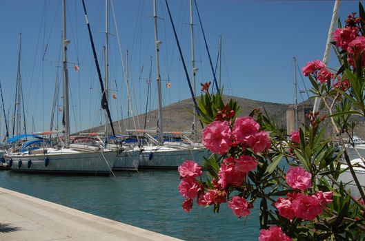 Yacht and flowers at trogir's marina