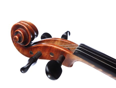 violin head