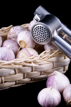 Fresh garlic in basket with garlic press isolated on a black background.
