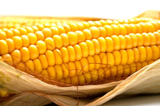 Freshly harvested corn, close up. Shallow DOF, macro, background