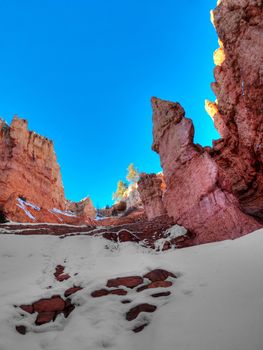 On the Navajo loop trail in winter in Bryce Canyon in Southwestern Utah