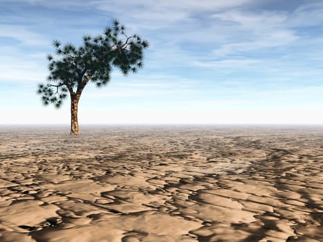 3D rendering of an isolated Joshua tree in arid desert