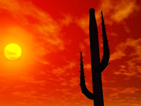 3 D rendering of a saguaro cactus silhouette at sunset