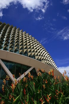 Roof of Esplanade, a landmark building in Singapore with heliconia in front ground and blue sky.
