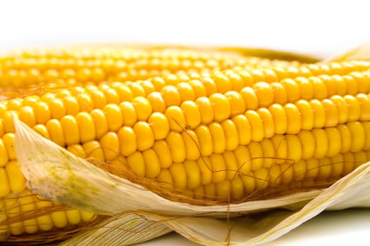 Freshly harvested corn, close up. Shallow DOF, macro, background
