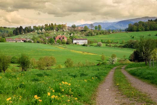 Spring landscape - green fields, the blue sky