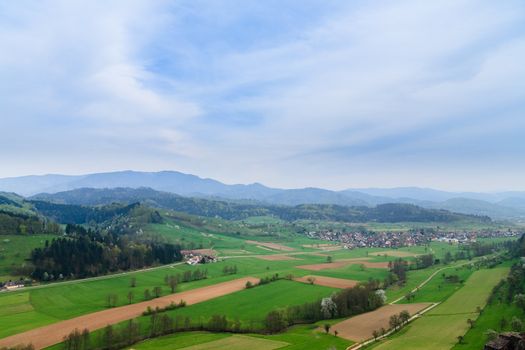 Black forrest at Germany nearly Freiburg