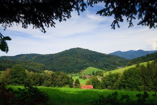 Panorama of summer Landscape, please see also other my picture
