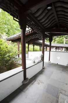 A wide chinese style garden with trees and plants

