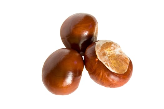 brown chestnuts isolated on white