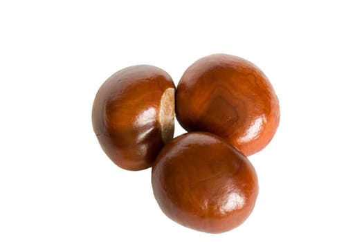 brown chestnuts isolated on white