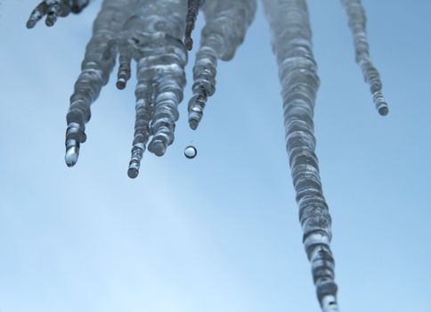 Icicles hanging in front of a blue sky with melt water dripping off of them.