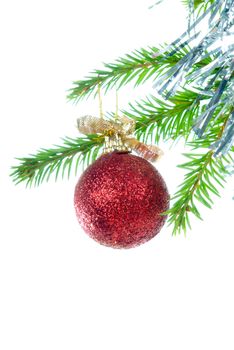 Colorful ornament hanging on Christmas tree