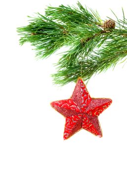 Red star hanging from a branch.white background