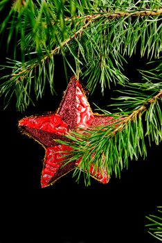 Red star hanging from a branch.black background