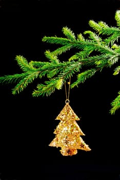 spruce branch on the dark,Christmas tree ornaments.