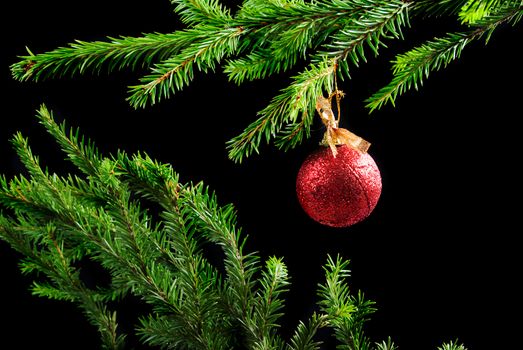 christmas tree decoration   on dark background 