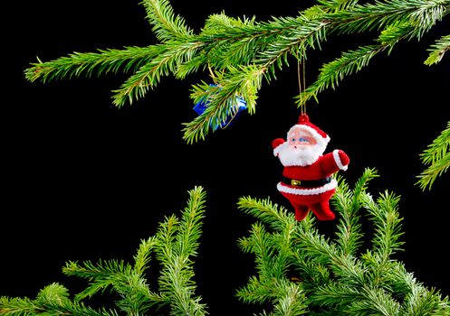 santa claus ,Christmas bauble  on background of the fur branches