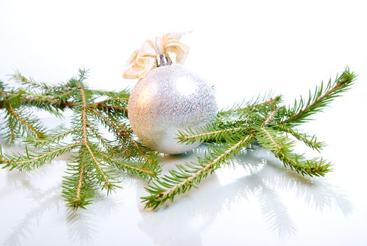Christmas bauble  on background of the fur branches