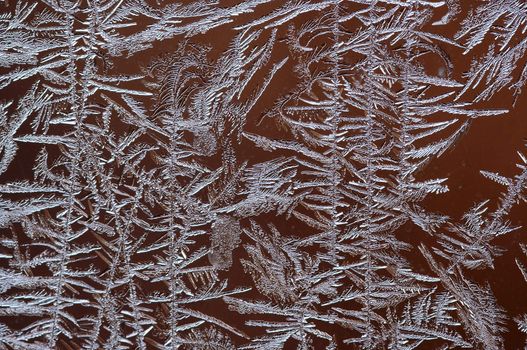 Detail (close-up) of the frost flower 