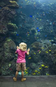 A young girl enthralled with the wonder of the underwater world.