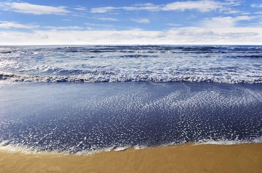 Beach in San Francisco in a sunny day