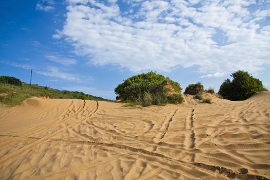 Sandy dunes in Mozambique