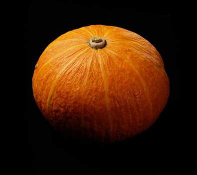 fresh deep vivid yellow pumkin  on black background