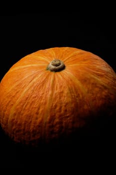 fresh deep vivid yellow pumkin  on black background