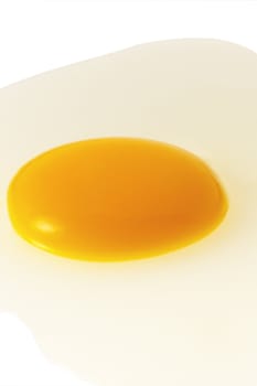 fresh egg opened on white light table