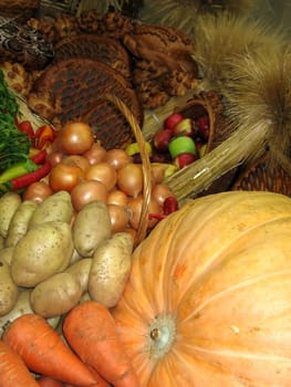 Background of the rich vegetables autumn harvest
