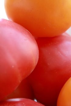 Close up of the orange and red colored tomatoes