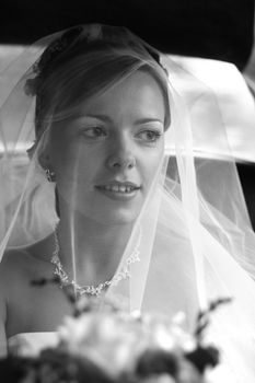 The beautiful bride is closed by a veil