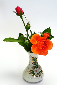 rose in hina porcelan vase isolated