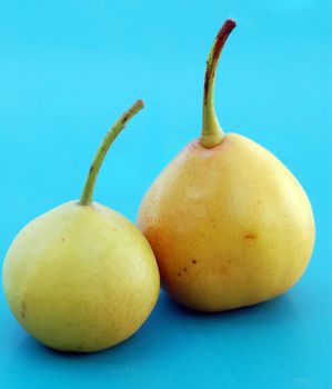 two pears