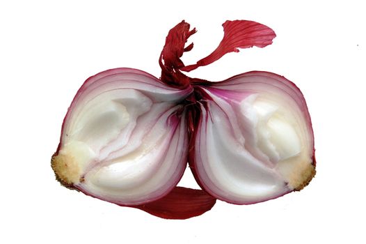 onion