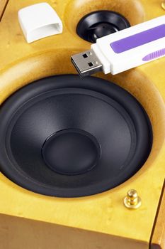 wood hi-fi loudspeaker with usb key on top