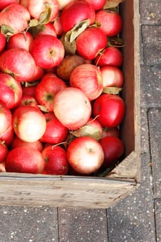Red apples in wooden boxes