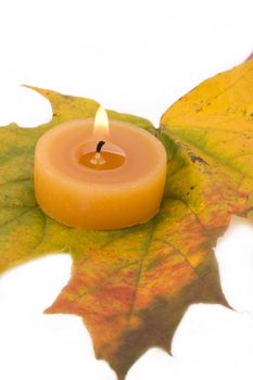 autumn maple leaf and tea light