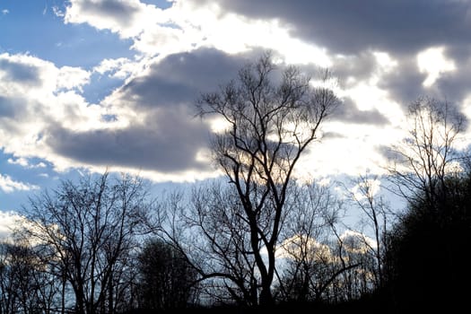 Non-urban lanscape with leafless trees
