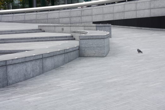 A pigeon on the pavement in London