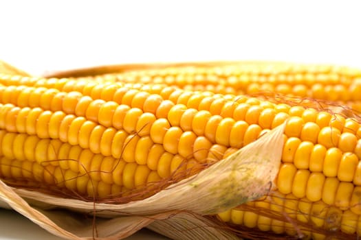 Freshly harvested corn, close up. Shallow DOF, macro, background