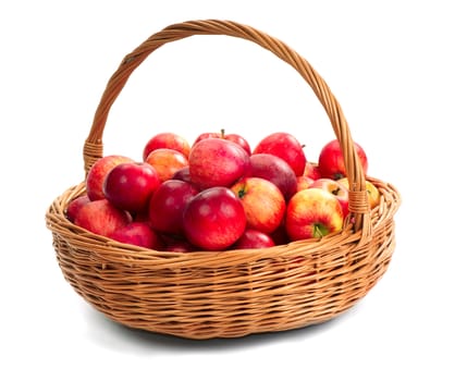 Harvesting. A basket with red ripe apples.