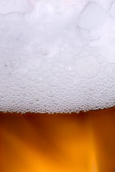 Fresh pils beer with froth and condensed water pearls