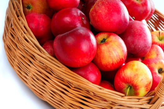 Harvesting. A basket with red ripe apples.