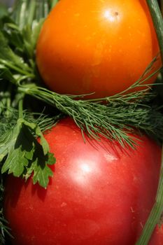 Fresh, vitamin and juicy tomatoes. 