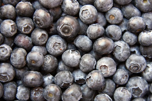Background of fresh blueberries