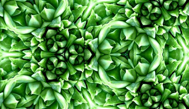 A seamless pattern background made from some smooth cactus leaves.
