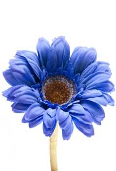 Blue fake gerbera isolated on a white background.
