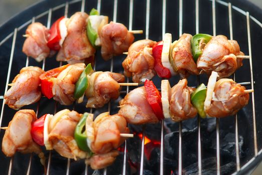 Kebabs on the grill with vegetables. Close up